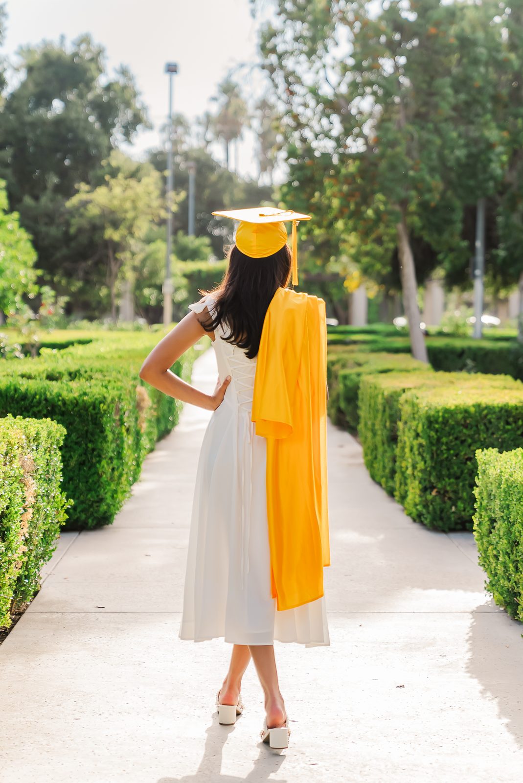 A graduate walking away down a hedge lined path in cap and gown