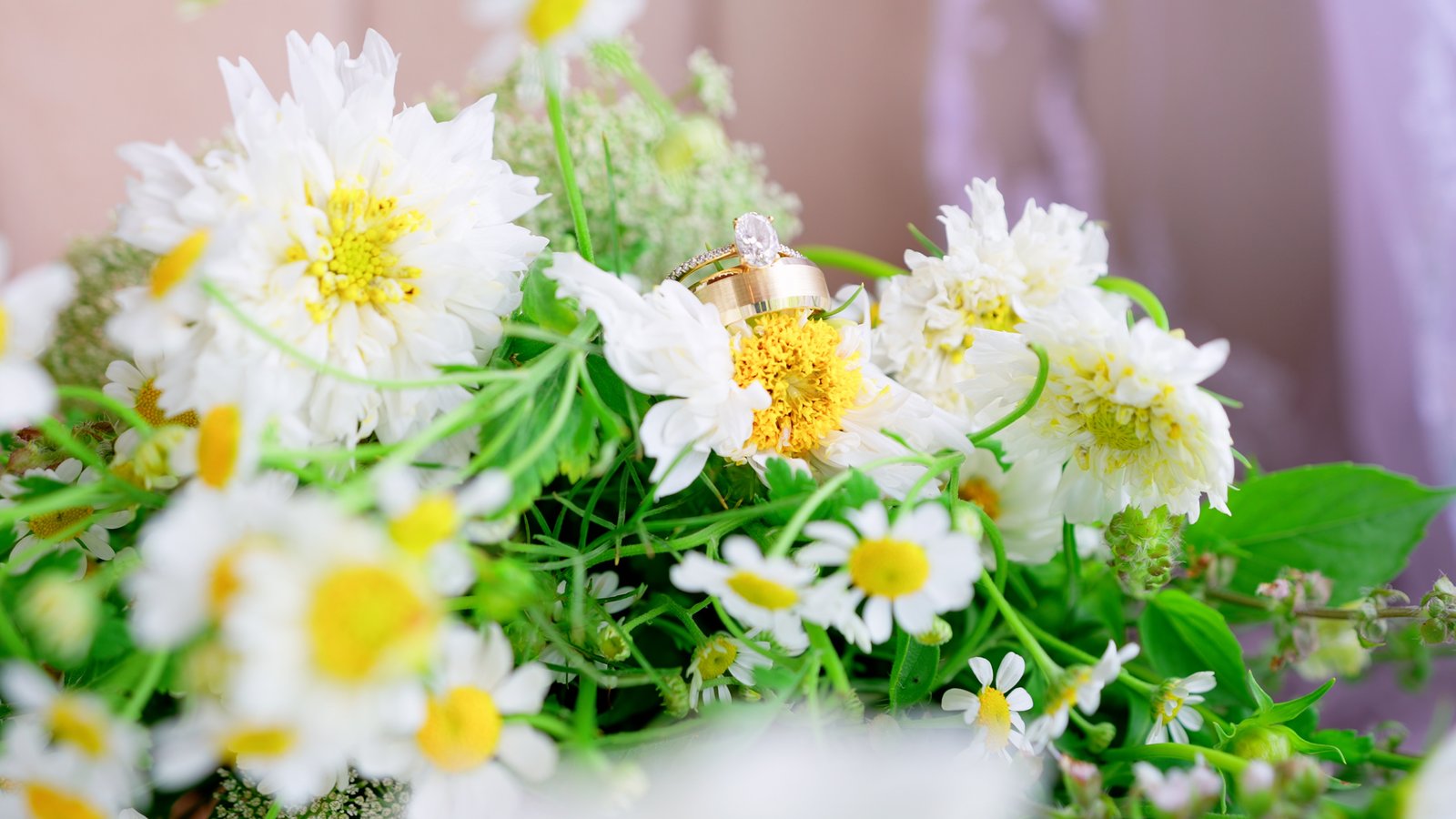 Wedding rings resting among white daisies in the bouquet